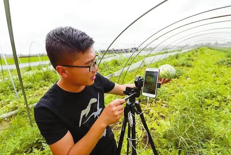 农产品短视频拍摄